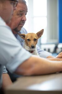 Ballards Removals employees and office dog