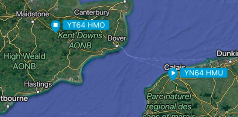 International removals