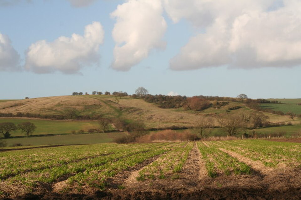 Landscape view of the Lincolnshire Wolds southeast of Claxby Wood, showing rolling hills, open fields and woodland edges under clear daylight.